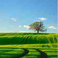 网‍页‍上​的‌压‍缩‍包﻿怎‌么​下‌载‍下‍来‌